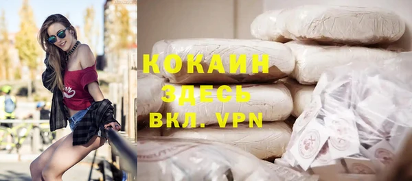 ГАЛЛЮЦИНОГЕННЫЕ ГРИБЫ Аркадак