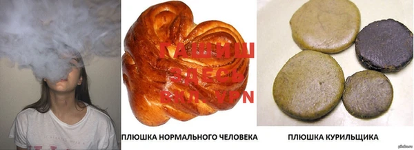 ГАЛЛЮЦИНОГЕННЫЕ ГРИБЫ Аркадак