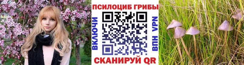 Псилоцибиновые грибы Psilocybe  Сурск 