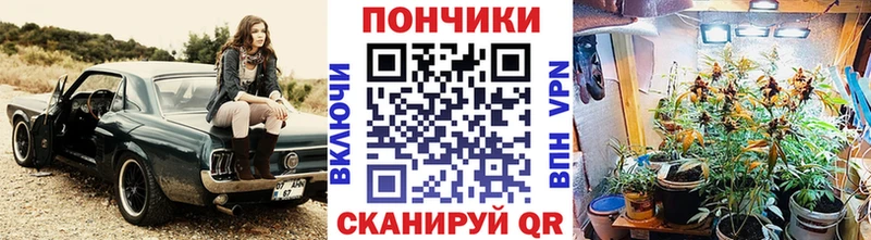 Бошки Шишки конопля  купить наркотик  Сурск 